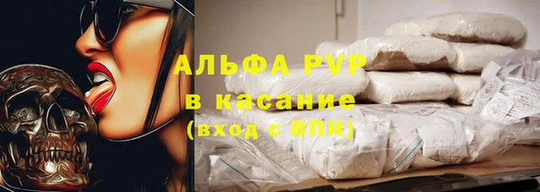 сатива Володарск